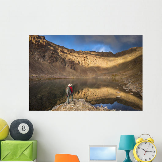 Male Hiker Enjoying Hidden Wall Decal