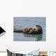 Sea Otter Female with Wall Decal