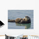 Sea Otter Female with Wall Decal