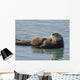 Sea Otter Female with Wall Decal