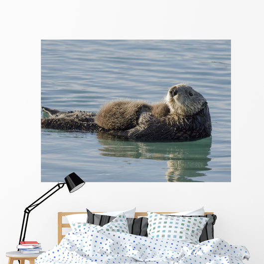 Sea Otter Female with Wall Decal