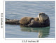 Sea Otter Female with Wall Decal