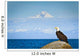 Bald Eagle Perched Rock Wall Decal