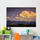 Sunset Glow Mt McKinley Wall Decal Design 2