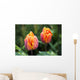 Blossoming Multi-colored Tulips Wall Decal