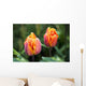 Blossoming Multi-colored Tulips Wall Decal