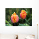 Blossoming Multi-colored Tulips Wall Decal