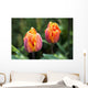 Blossoming Multi-colored Tulips Wall Decal
