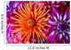 Up Blossoming Flowers Wall Decal
