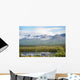 Scenic inside Denali National Wall Decal