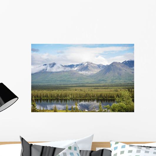 Scenic inside Denali National Wall Decal
