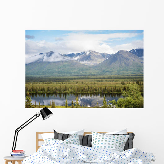 Scenic inside Denali National Wall Decal