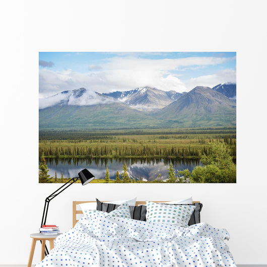 Scenic inside Denali National Wall Decal