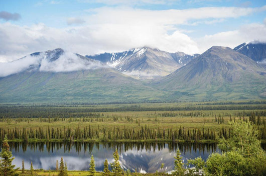 Scenic inside Denali National Wall Decal