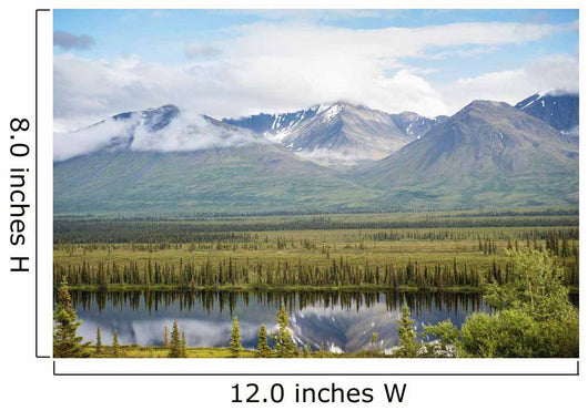 Scenic inside Denali National Wall Decal