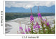 Fireweed with Alaskan Susitna Wall Decal Design 2