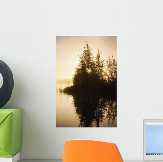 Sunset Trees Reflected Chena Wall Decal