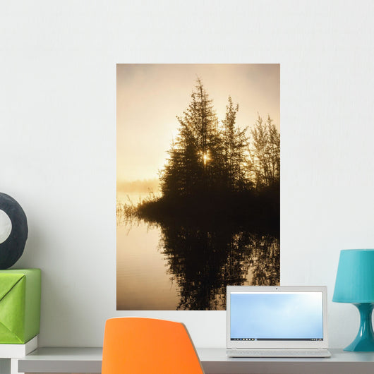 Sunset Trees Reflected Chena Wall Decal