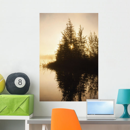 Sunset Trees Reflected Chena Wall Decal