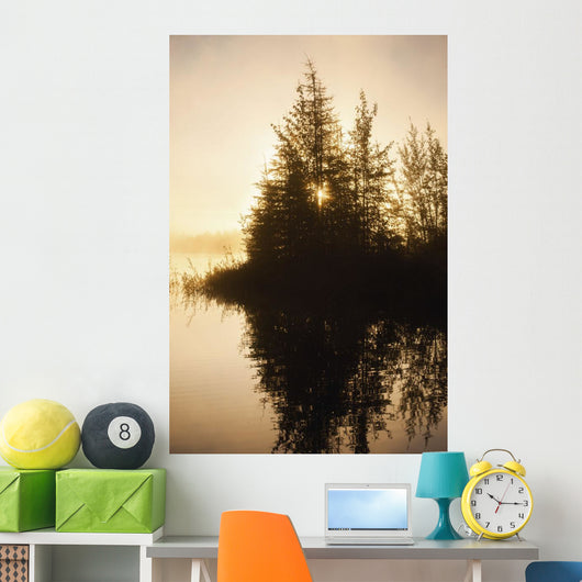 Sunset Trees Reflected Chena Wall Decal