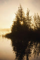 Sunset Trees Reflected Chena Wall Decal