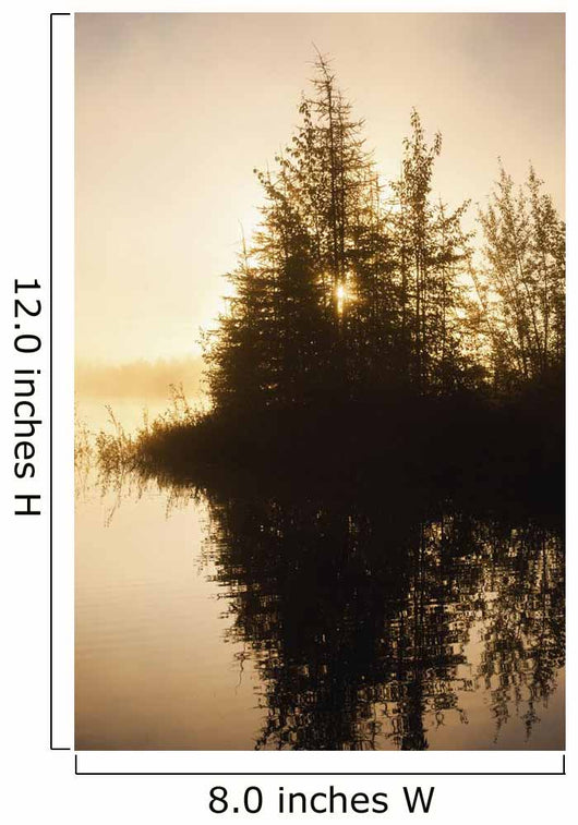 Sunset Trees Reflected Chena Wall Decal