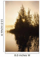 Sunset Trees Reflected Chena Wall Decal