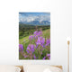 Scenic Landscape near Palmer Wall Decal