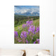 Scenic Landscape near Palmer Wall Decal