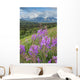 Scenic Landscape near Palmer Wall Decal