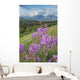 Scenic Landscape near Palmer Wall Decal