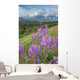 Scenic Landscape near Palmer Wall Decal