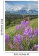 Scenic Landscape near Palmer Wall Decal