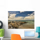 Cumulus Clouds over Dickenson Wall Decal