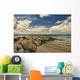Cumulus Clouds over Dickenson Wall Decal