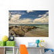 Cumulus Clouds over Dickenson Wall Decal