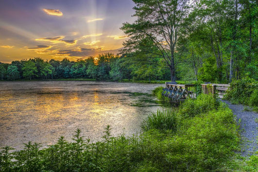 Lakeside Sunset Wall Decal