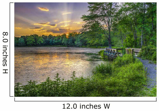 Lakeside Sunset Wall Decal