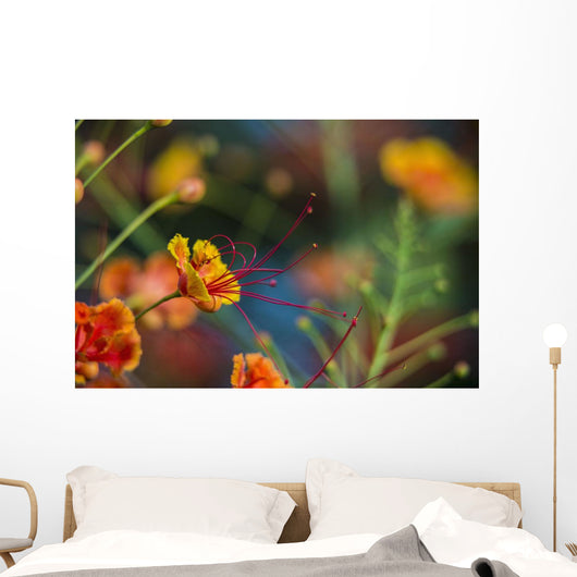 Pride Barbados Wall Decal Design 3
