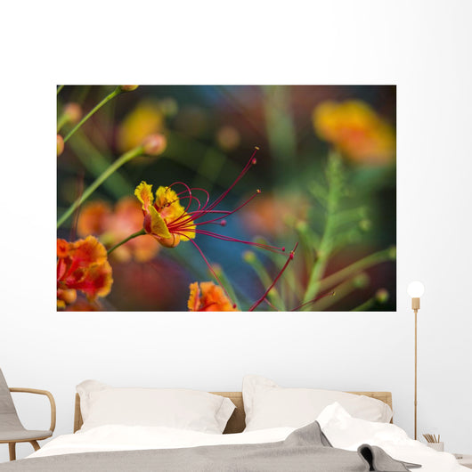 Pride Barbados Wall Decal Design 3
