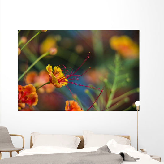 Pride Barbados Wall Decal Design 3