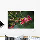Pride Barbados Wall Decal Design 2