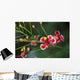Pride Barbados Wall Decal Design 2