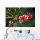 Pride Barbados Wall Decal Design 2