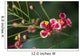 Pride Barbados Wall Decal Design 2