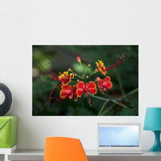 Pride Barbados Wall Decal Design 1