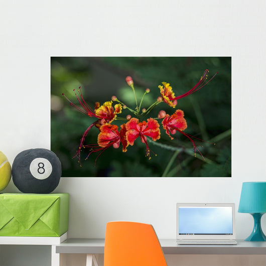 Pride Barbados Wall Decal Design 1