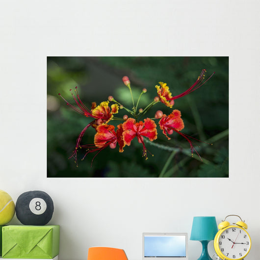 Pride Barbados Wall Decal Design 1