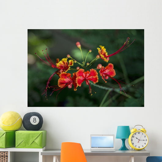 Pride Barbados Wall Decal Design 1
