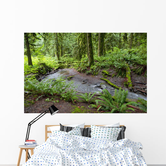 Bridal Falls Wall Decal